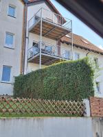 Exklusive Wohlfühloase mit 7 Einzelbetten großer Balkon MwSt ausweisbar in toller Lage von Melsungen - Bed and Breakfast Melsungen