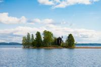 Stunning 2 BR Apartment In The City Centre - B&B Kuopio