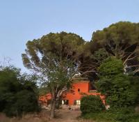 Casa en campo para desconectar en Madrid con Animales - Chambres d’hôtes