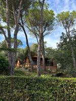 Villetta Nel Verde Vicino Mare - Bed and Breakfast