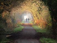 The Old Stores, a Grade II listed cottage in the delightful village of Georgeham, is ideal for beach, surfing, walking & cycling holidays - Chambres d’hôtes Georgeham