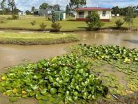 RIVER DOWNS COTTAGE - B&B Clarence Town