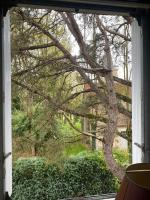 LE PRESBYTERE - B&B Chasnay