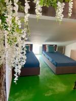 10-Bed Mixed Dormitory Room