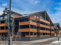 Le Bucheron Stunning Spring Creek Luxury condo - B&B Canmore