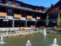 Le Bucheron Stunning Spring Creek Luxury condo - B&B Canmore