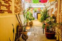 The Green Loft, Oaxaca Centro - B&B Oaxaca de Juárez