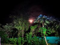 Mauli Stays - B&B