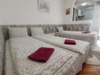 Try the Central Feeling - Ferienwohnung Temeswar