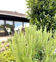 Ferienhaus Weinbergblick - nahe Würzburg - 2 Schlafzimmer - Familienfreundlich - Terrasse - Chambres d’hôtes Unterleinach