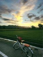นานาก๋างโต้ง คาเฟ่&Glamping - B&B