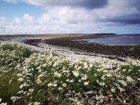 Flat in Eoropie, Ness, Isle of Lewis - B&B Port of Ness