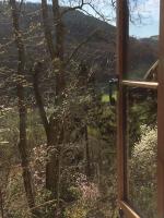Mellow Mountain Eco Retreat Wales Hot-Tub Sauna - Ferienwohnung Llansantffraid Glyn Ceiriog