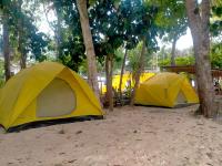 Ground Camp Krui - B&B Krui