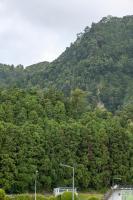 Furnas Yoga Place - B&B Furnas