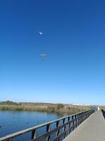 Apartamento Rota do Sol - B&B Armação de Pêra