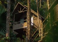 PANCHAVADI FARM STAY - B&B Thekkadi
