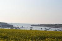 Gîte entre terre et mer à Plouarzel - B&B Plouarzel