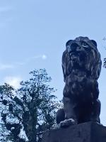 ALOHA#Sossego - B&B Ubatuba