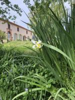Labastilac chambre plume - B&B