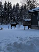 Vassfjellet Home - B&B Trondheim