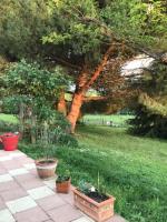 Des Roux et des Pious Suite de 35 à 60 m2 et 3 chambres pour groupe de 2 à 6 personnes - Bed and Breakfast Civray-de-Touraine