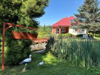 Willa u Bociana - B&B Siemianówka