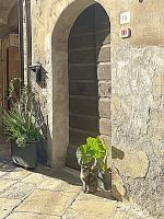 La Contessa Tower House - B&B
