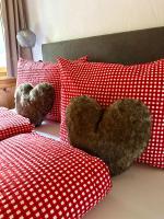 Apart Wiesa - Chambres d’hôtes Kappl