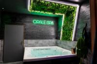 Opale Spa - Jacuzzi et sauna privatifs - B&B Mons-en-Barœul