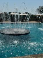 Cozy nest apartment - B&B Pretoria