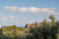 Agia Marina OLIVE GREEN SUMMER LODGE - B&B