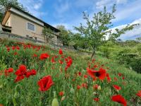 Casa Le Vignole - Aosta - B&B Aosta