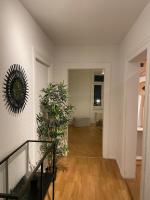 Apartments in Zelgstrasse-Zurich - B&B