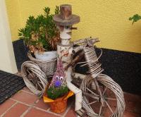 Ferienwohnung Sagenwelt - Bed and Breakfast Thale