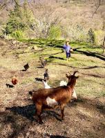 Gîte de la Bergerie - B&B Lussas