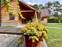 ADORA River Retreat - B&B Avrig