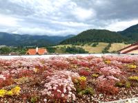 Casa del Svana Liptov - B&B Liptovská Lúžna