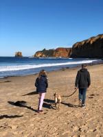 Aireys Bush Sanctuary - B&B Fairhaven