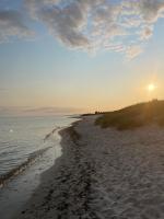 Gästhus i Ljunghusen nära strand & golf uthyres - B&B Höllviken