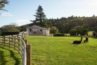 The Treehouse - Chambres d’hôtes Cockburnspath