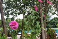 Finca Marina Turismo Rural - Ferienwohnung Lleida