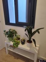 Calle Pureza Nº59 - B&B Sevilla