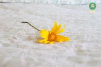 Camera Matrimoniale Deluxe