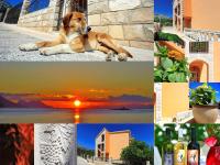 Holiday Home Mirela - B&B Sabbioncello