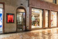 HISTORIC CENTER VIEW-2 minutes from Arena & Juliet's house- Mazzini Palace - B&B Verona