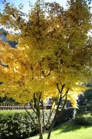 Bilocale Indipendente - Bed and Breakfast Milaan