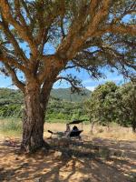 Maison cantonnière - Ferienwohnung Sartène