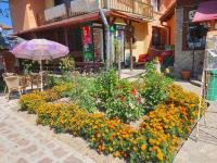 GUEST HOUSE TONI СТАИ за ГОСТИ ТОНИ - B&B Ribaritsa