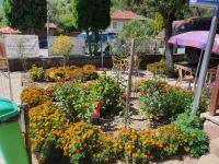 GUEST HOUSE TONI СТАИ за ГОСТИ ТОНИ - Ferienwohnung Ribaritsa